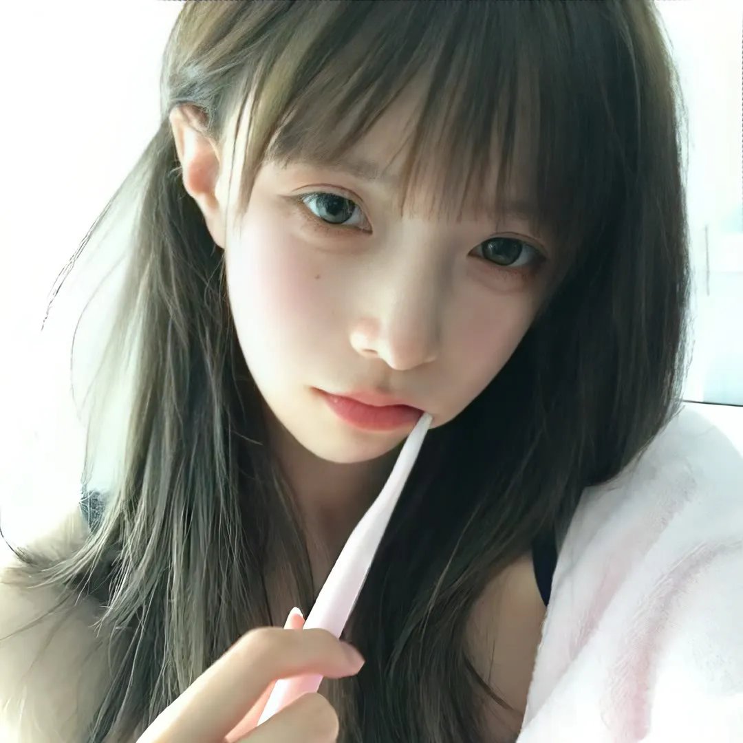 总统班底